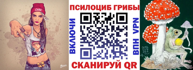 Галлюциногенные грибы Psilocybe  Стрежевой 